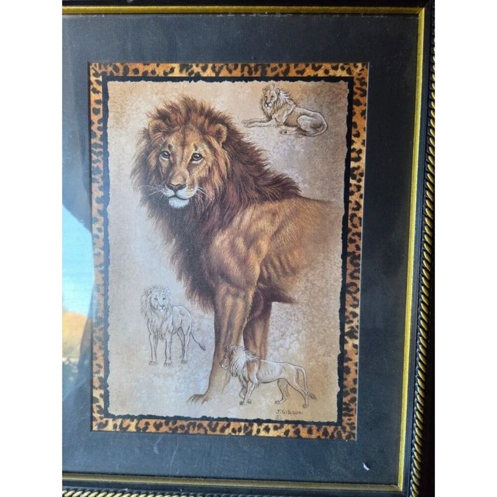 Lion & Leopard Framed Wall Art Animal Print Border Safari